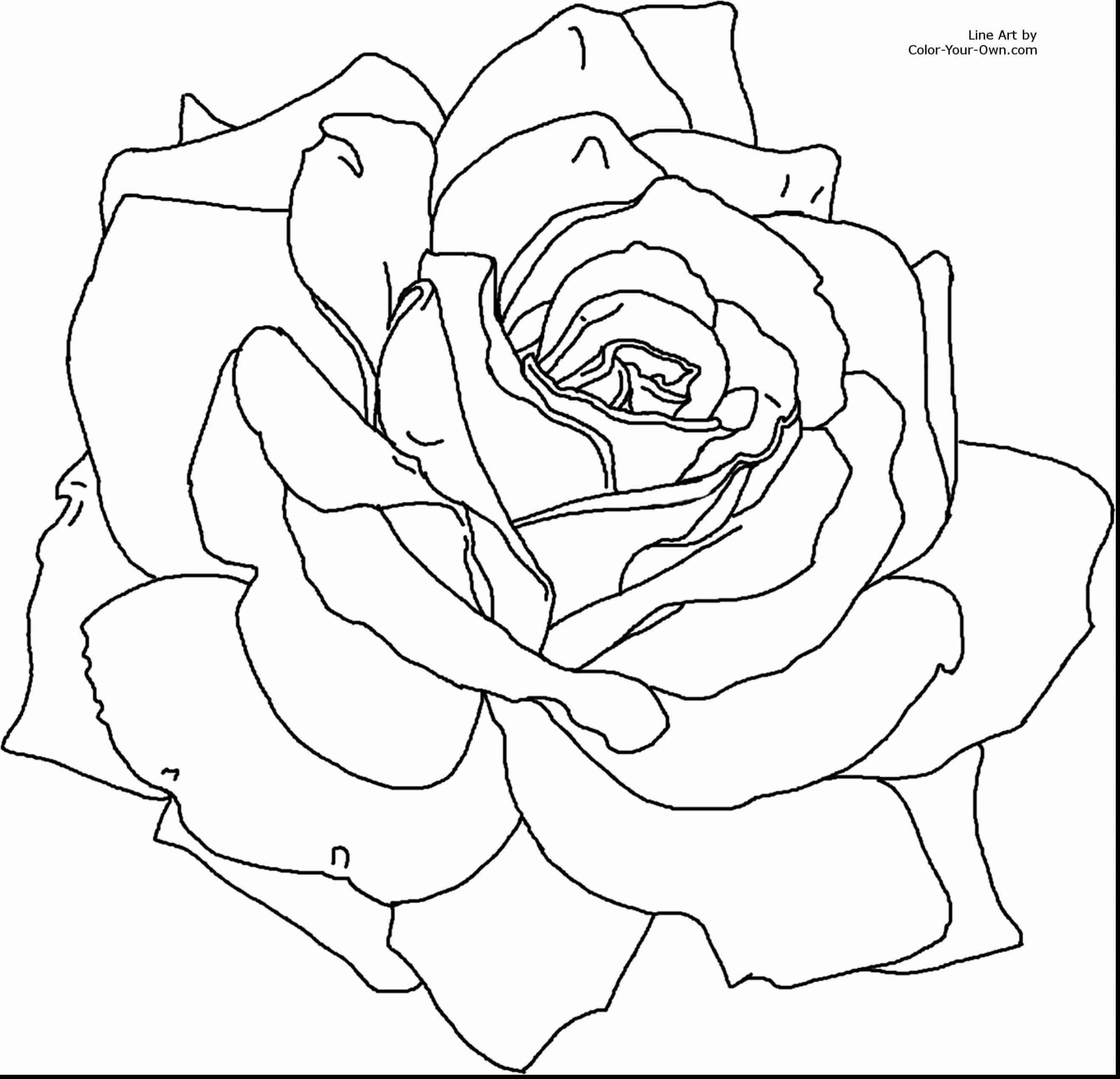 2640x2542 Surprising Coloring Pages Flowers Roses With Printable Flower