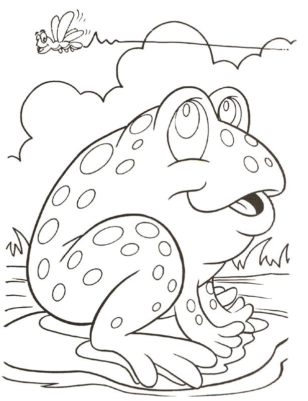 Coloring Pages Of Frogs And Lilypads