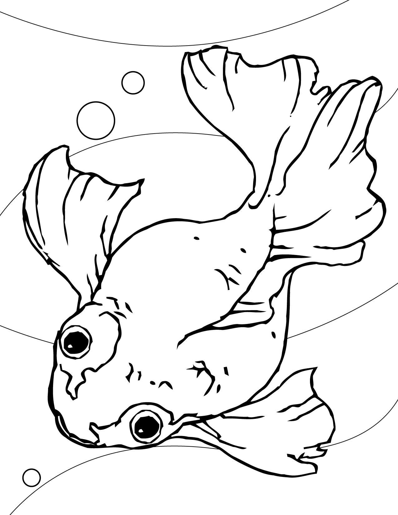 1275x1650 Free Printable Goldfish Coloring Pages For Kids