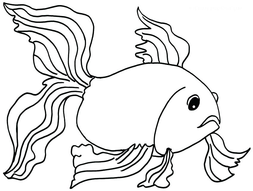 850x644 Matisse Coloring Pages Goldfish By Collaborative Activity Coloring