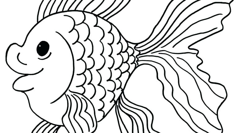 770x430 Matisse Coloring Pages Goldfish Coloring Page Printable Goldfish