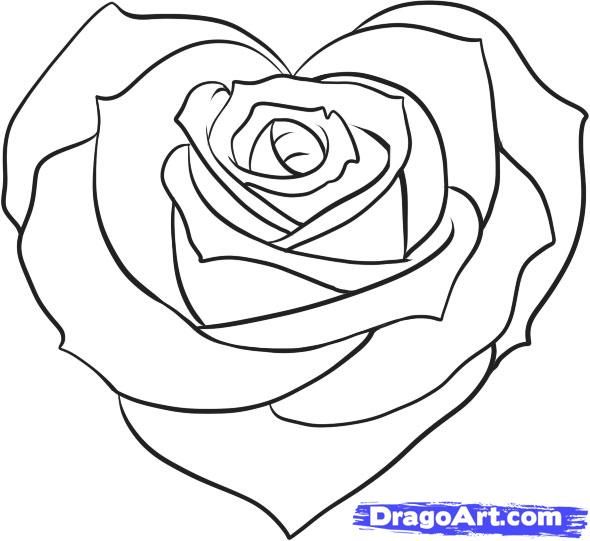 590x541 Heart And Rose Drawings In Pencil Free Download Clip Art On Heart