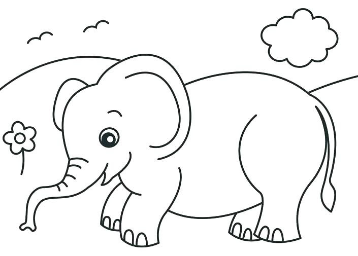 705x505 Baby Animal Coloring Page Horse And Foal Baby Animal Coloring Baby
