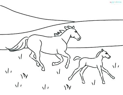 425x329 Realistic Foal Coloring Pages Fresh Free Coloring Pages For Adults