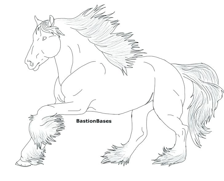 728x588 Realistic Horse Coloring Pages Quarter Horse A Bath Time A Horse