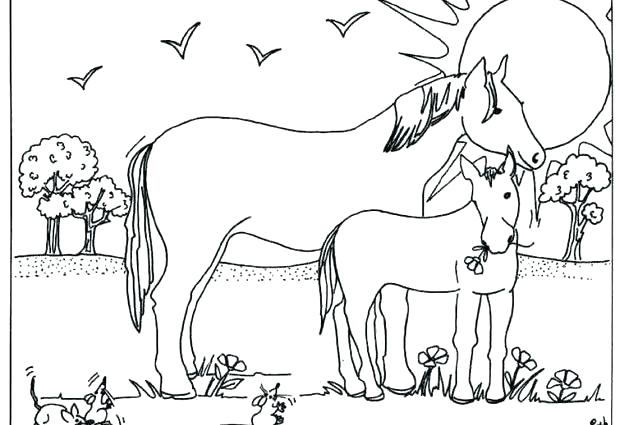 620x425 Coloring Pages Horse Wonderful World Of Horses X Foals Free Foa