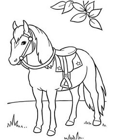236x288 Horse