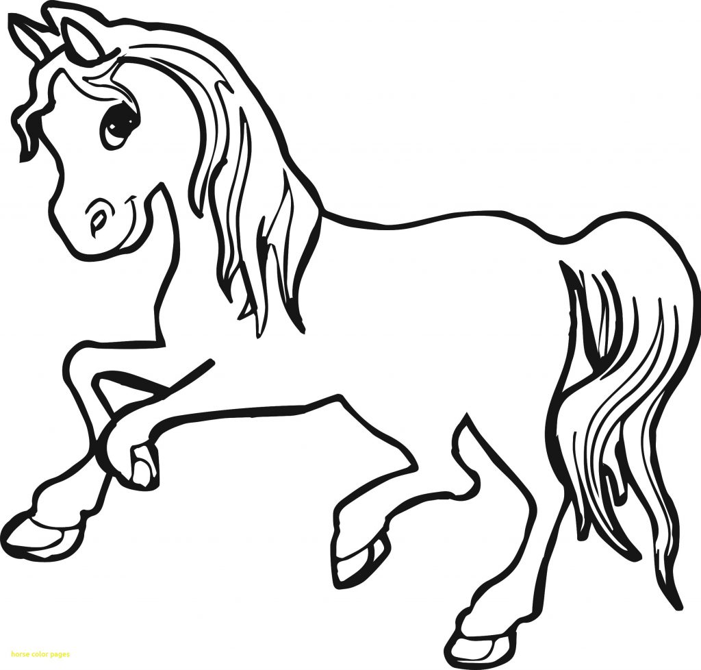 1024x978 Horses Coloring Pages Of Horse Printable General Look Real