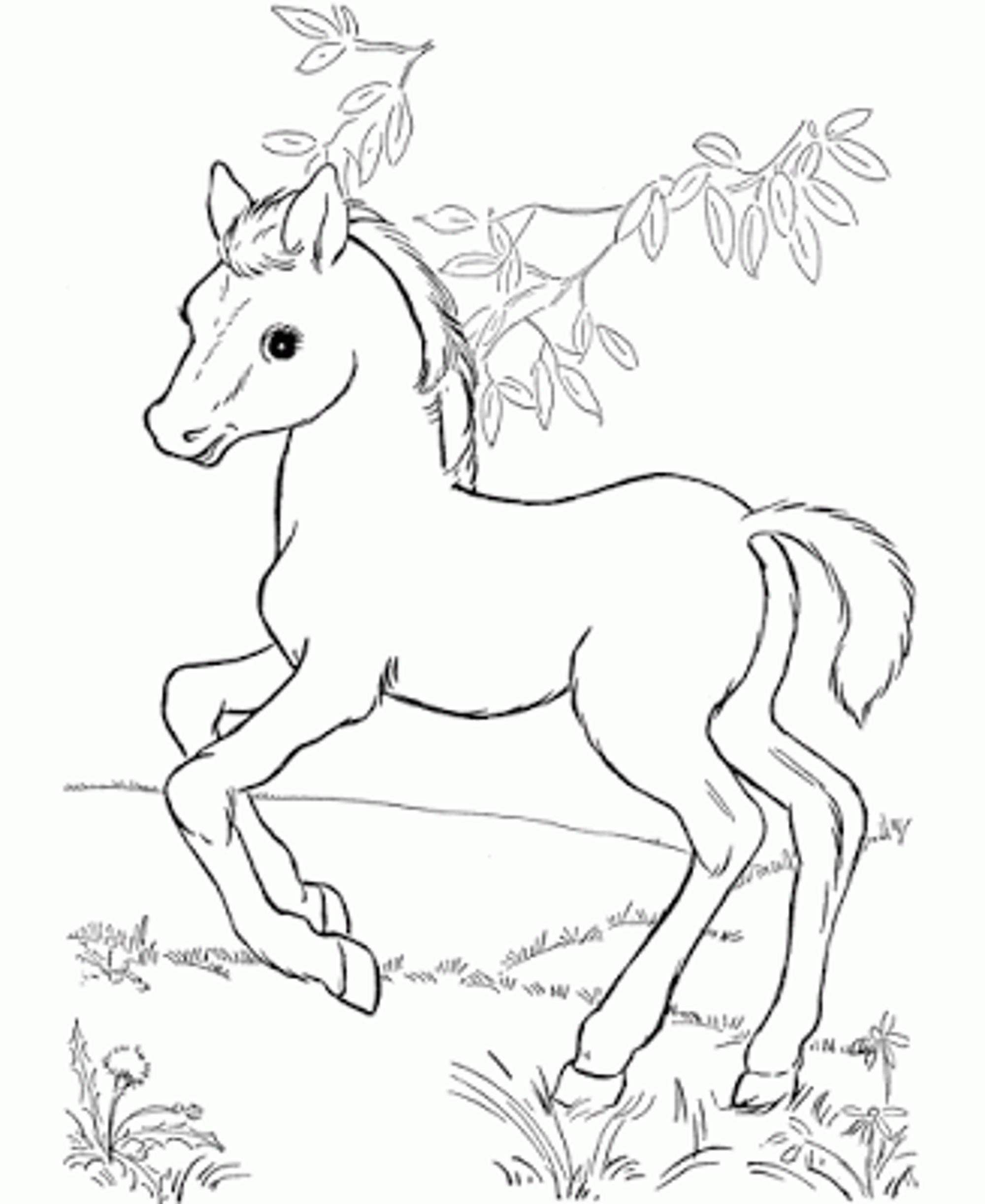 2000x2446 Ba Horse Coloring Pages Depetta Coloring Pages 2018 Baby Horses