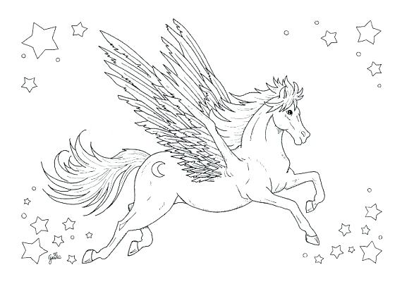 570x403 Horse Coloring Pages Adults With Horse Coloring Pages