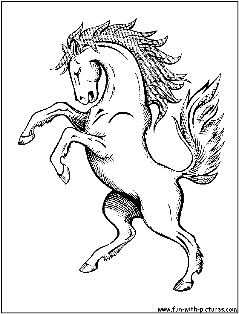 800x1050 Horse Coloring Pages For Horses Animal Jumping Running Ponies Barfwa