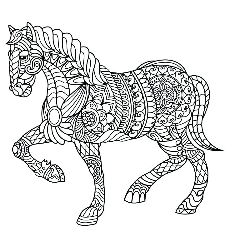 736x772 Horse Coloring Pages For Adults Shippa.co