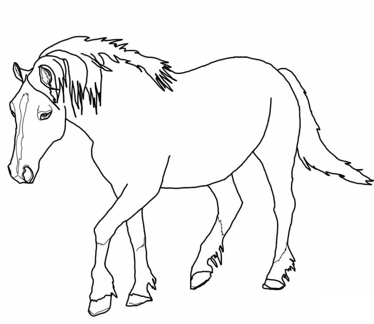 1200x1039 Horse Color Pages Loving Printable Fancy Rearing Coloring