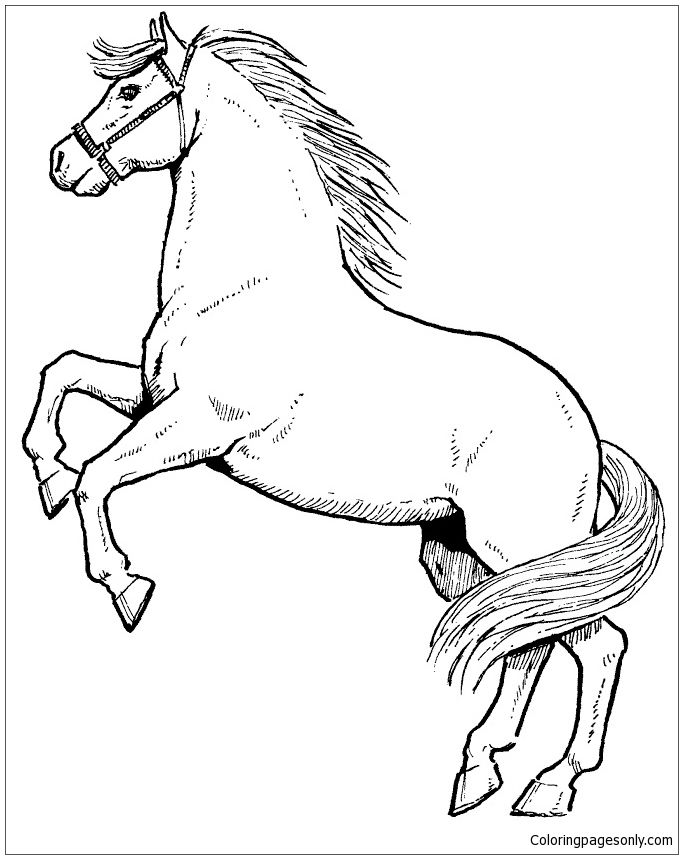 683x859 Rearing Horse Coloring Page As You Know, Coloring Is Essential