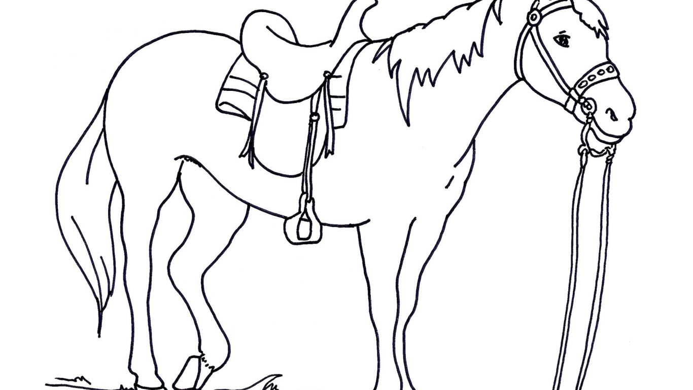 1366x768 Coloring Pages Horse Head Book Page Sheets Printable Profile