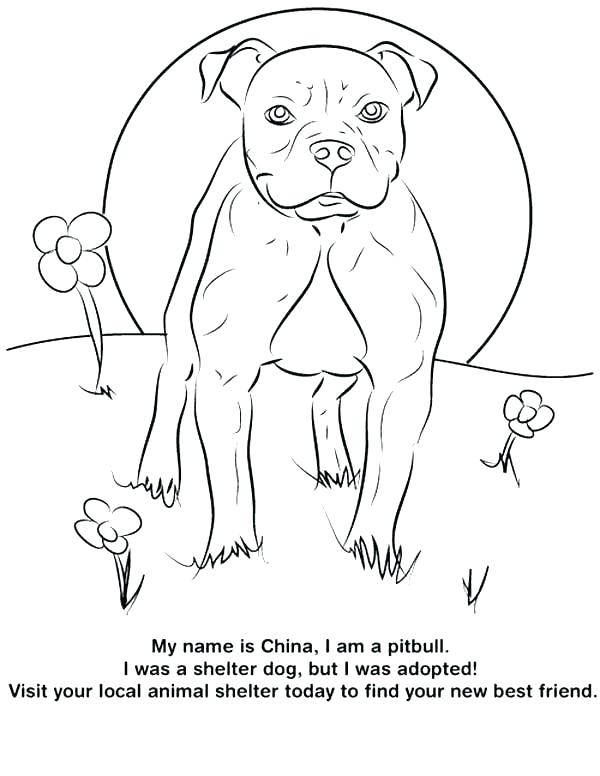 600x776 Husky Dogs Coloring Pages Spectacular Dog Color In Puppies