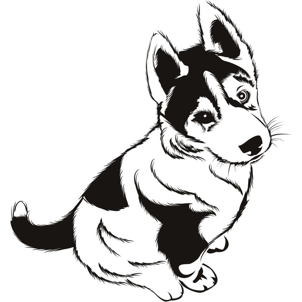 1024x1024 Chinese Crested Dog Coloring Page Cute Puppy Pet Coloring Pages