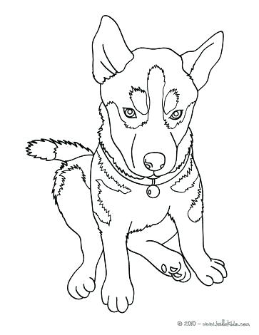 363x470 Siberian Husky Coloring Pages Husky Coloring Pages Husky Dog
