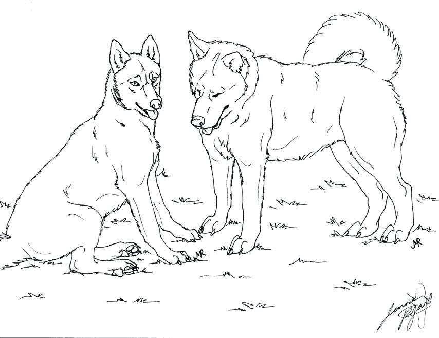 854x658 Husky Coloring Pages Printable