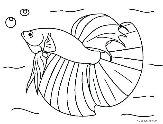 670x512 Ocean Fish Coloring Pages Ocean Fish Coloring Pages Ocean Free