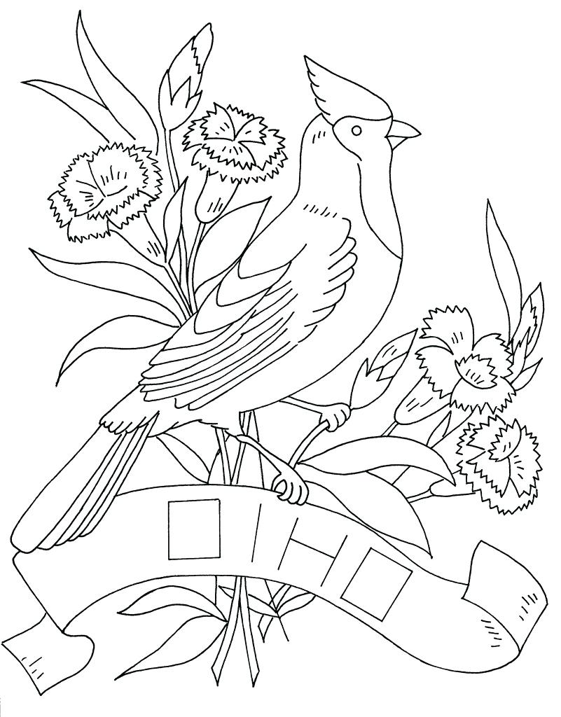 801x1024 Coloring Page ~ Ohio State Coloring Pages Bird And Flower Photo