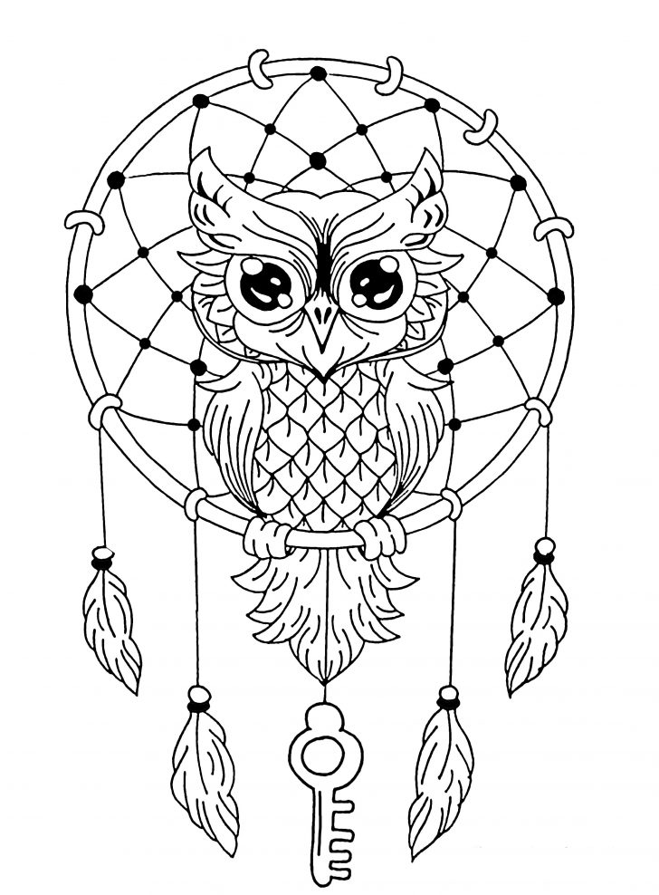 728x988 Coloring Book And Pages Marvelous Owl Coloring Pages. Owl
