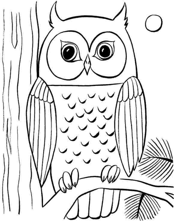 580x738 Owl Drawings For Kids