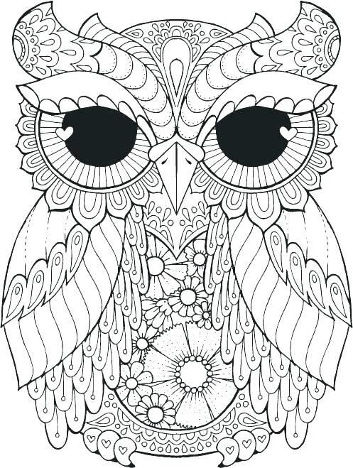 497x659 Beautiful Ideas Owl Coloring Pages Owl Coloring Pages For Kids