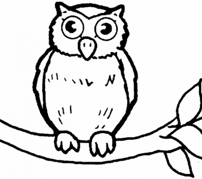 678x600 Owl Pictures To Colour In Breathtaking Owl Coloring Pages 92