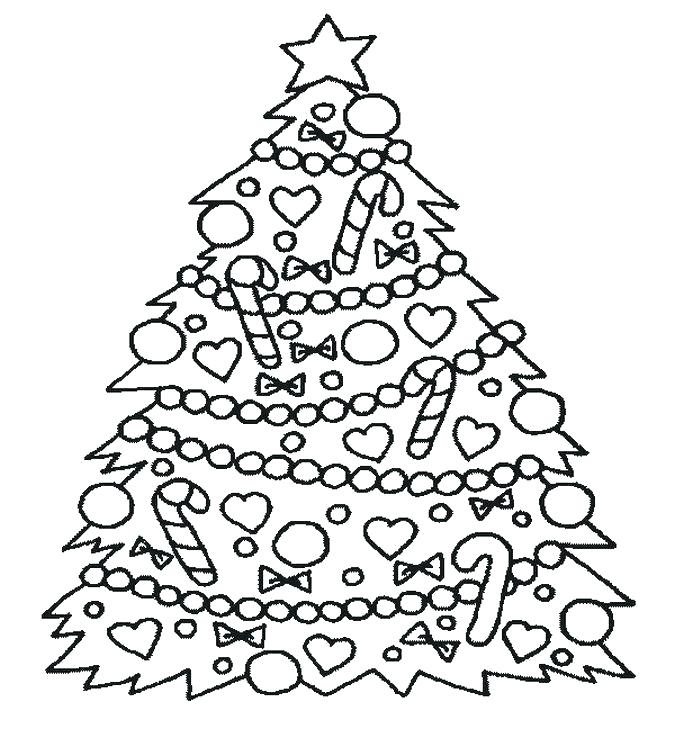 675x756 Coloring Pages Trees Pine Tree Coloring Pages Pine Trees Coloring