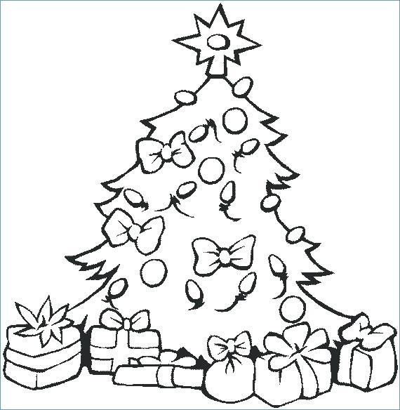 570x584 Fir Tree Coloring Pages 8 Fir Tree Coloring Page Home Improvement