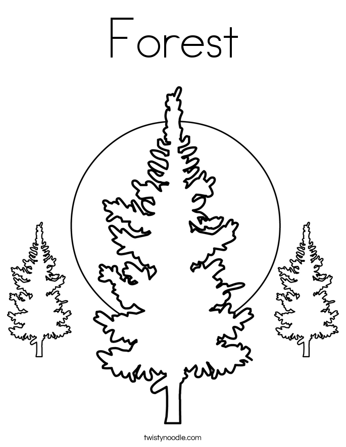 685x886 Forest Coloring Page