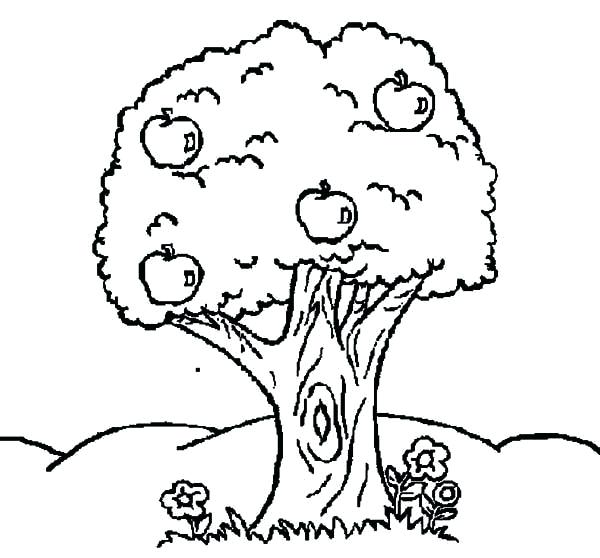 600x558 Trees And Flowers Coloring Pages Page Image Images Johnny Coloring