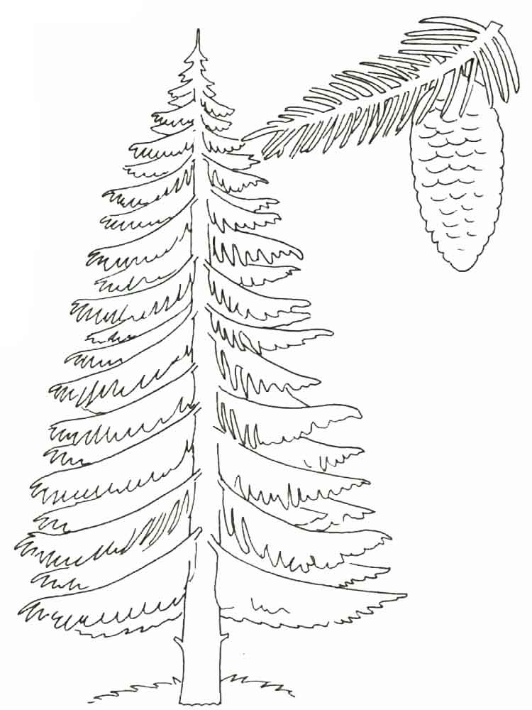 750x1000 Trees Coloring Pages. Download And Print Trees Coloring Pages