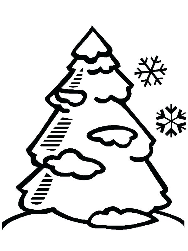 600x800 Winter Tree Coloring Page Trees Without Leaves Coloring Pages