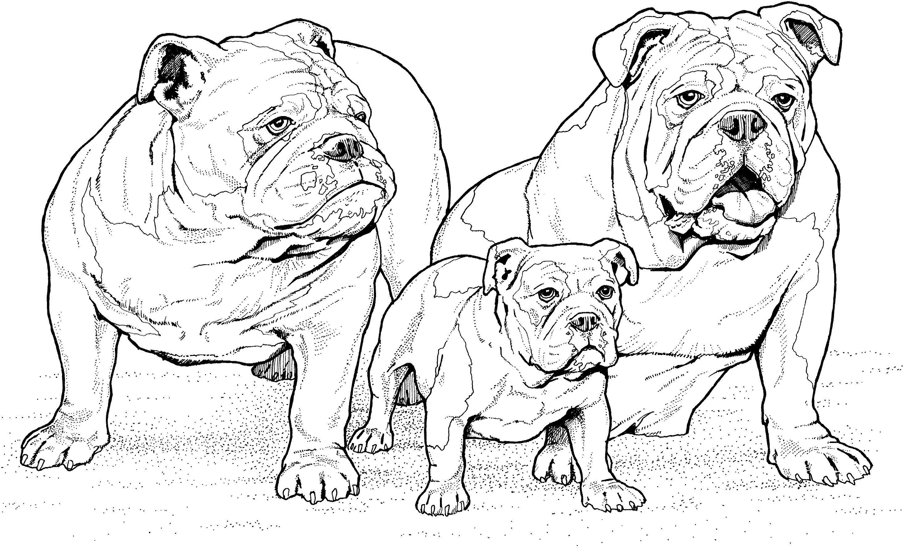 2928x1772 Puppy Coloring Pages Realistic Download And Print For Free