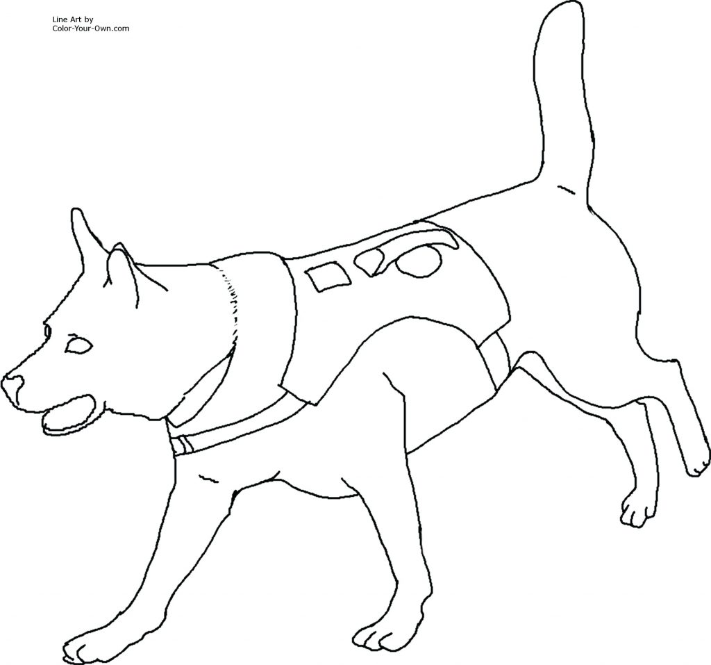1024x957 Coloring Pages ~ Husky Coloring Pages Realistic And Husky Coloring