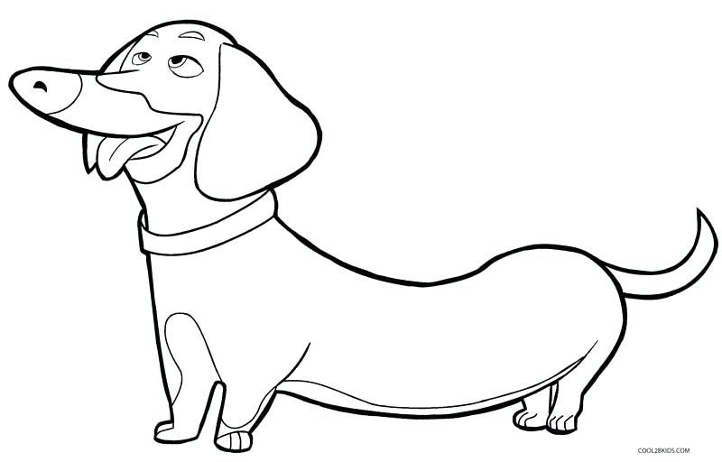 800x512 Coloring Page Dog Puppy Dog Coloring Pages Free Printable Puppy