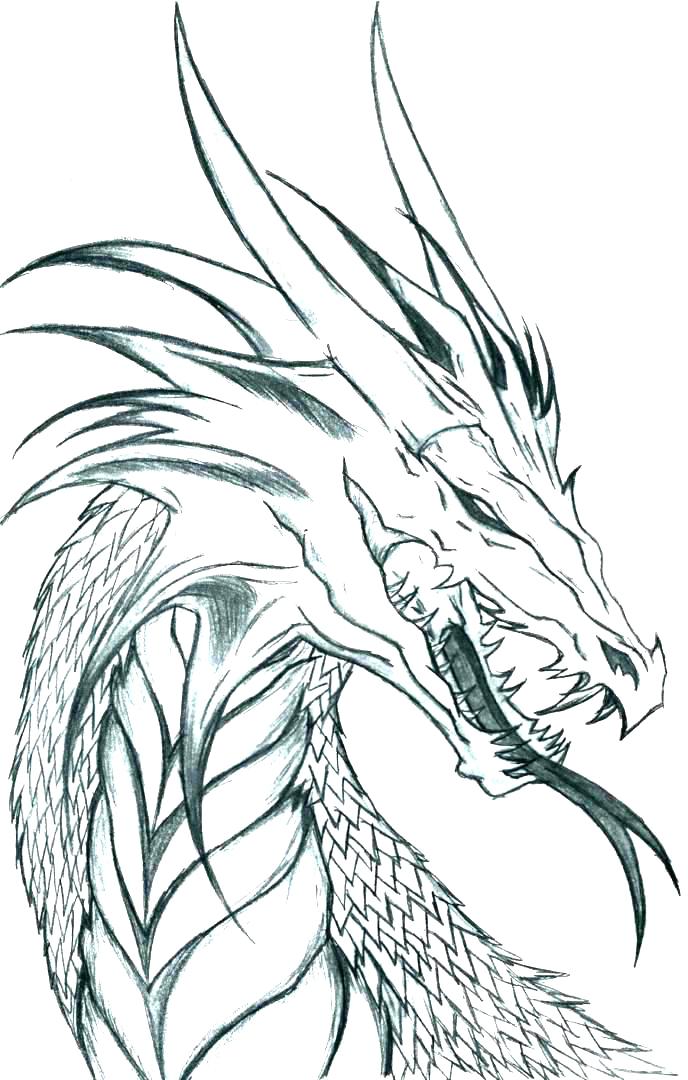 688x1080 Dragon Coloring Pages Printable Realistic Dragon Coloring Pages