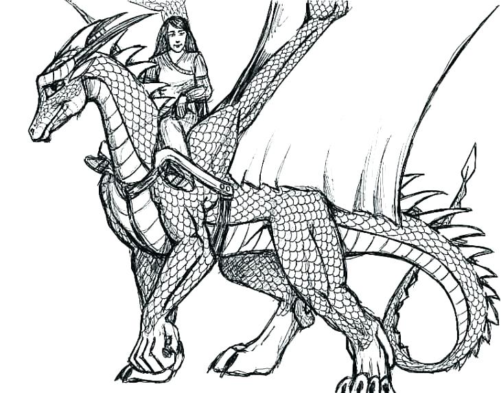 730x572 Dragon Coloring Page Dragon Coloring Pages For Adults Realistic
