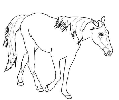 480x404 Realistic Horse Coloring Pages Click To See Printable Version