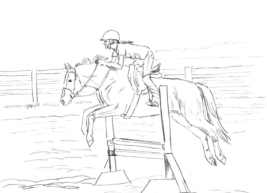 900x649 Realistic Horse Coloring Pages Quarter Horse A Bath Time A Horse