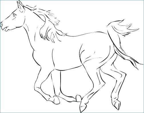 504x397 Free Coloring Pages Horses Free Online Coloring Pages Horses