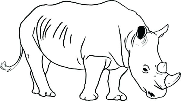 600x336 Rhino Coloring Pages Rhino Coloring Page Wild Animal Rhino