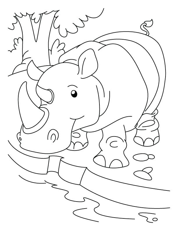 612x792 Black Rhino Coloring Pages Rhinoceros Quenching His Thirst