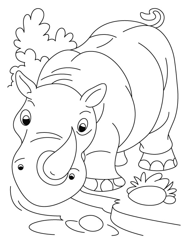 612x792 Talking To Kids About Rhinos Fight For Rhinos