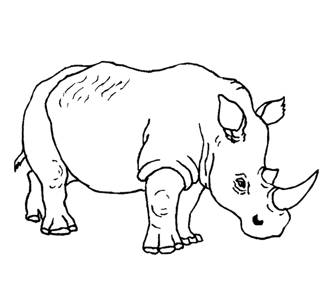 1143x1061 Enormous Rhino Coloring Page Pages Printable New Free Rhinoceros