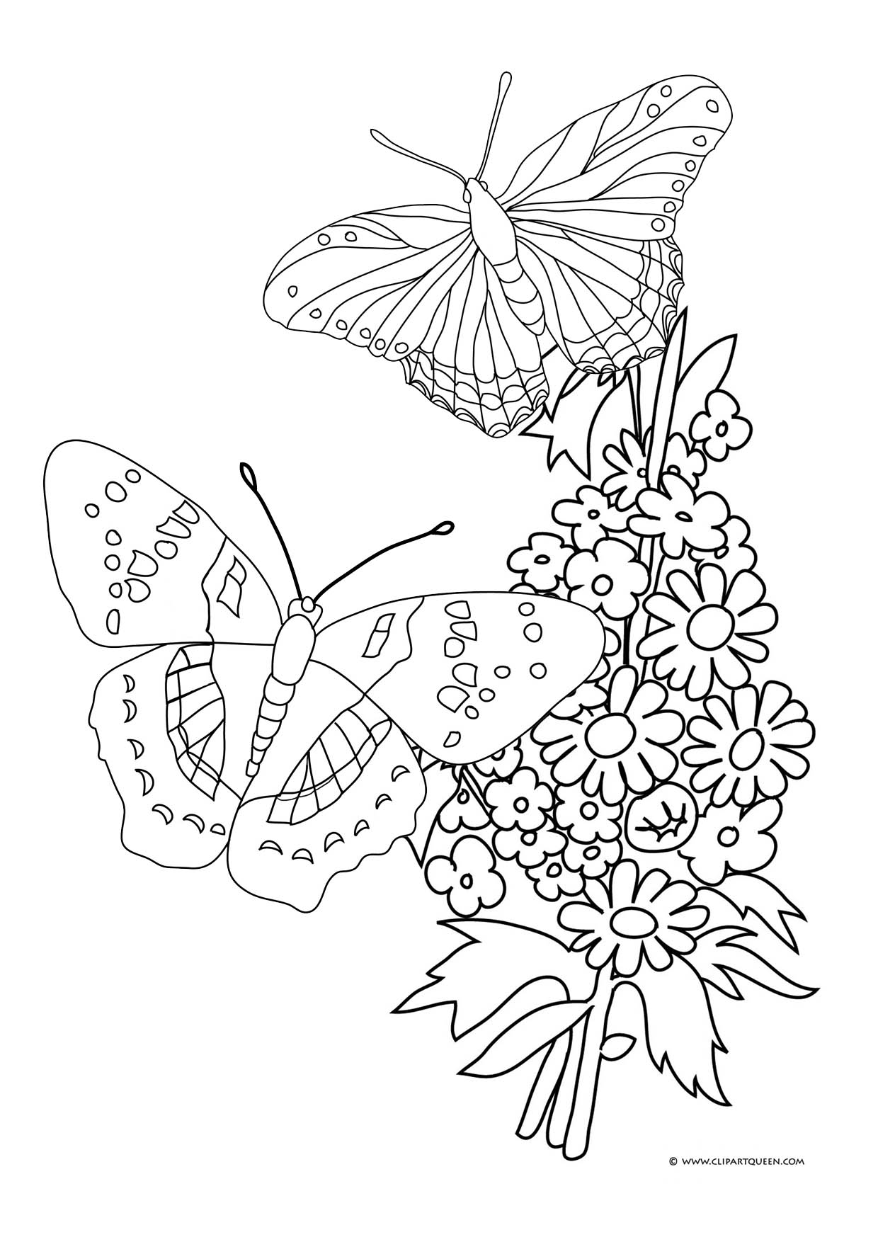 Coloring Pages Of Roses And Butterflies