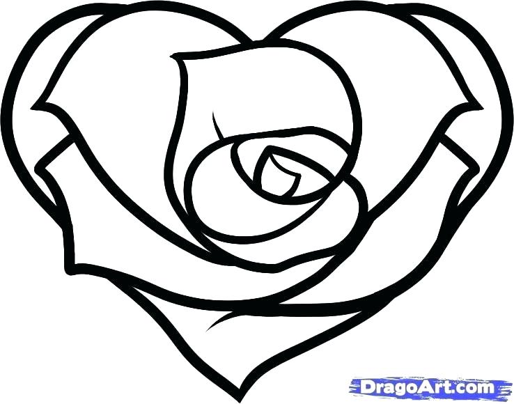 738x580 Coloring Pages Rose Luxury Heart And Roses Coloring Pages Fee