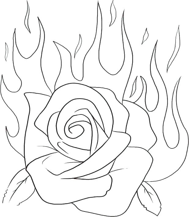 618x709 Roses Coloring Pages Coloring Page Of A Rose Hearts And Flowers